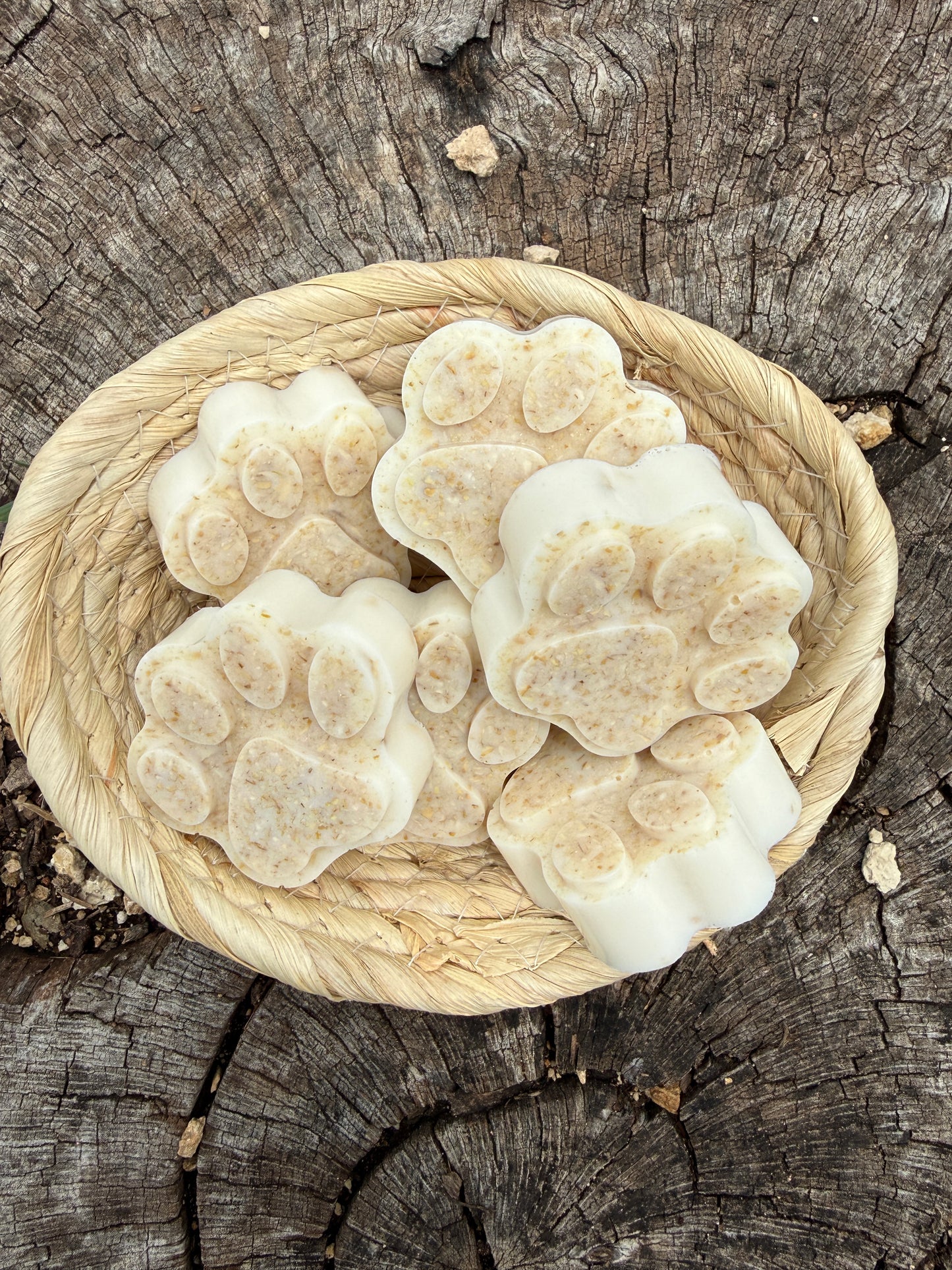 Goats Milk and Raw Honey & Oatmeal Puppy Shampoo