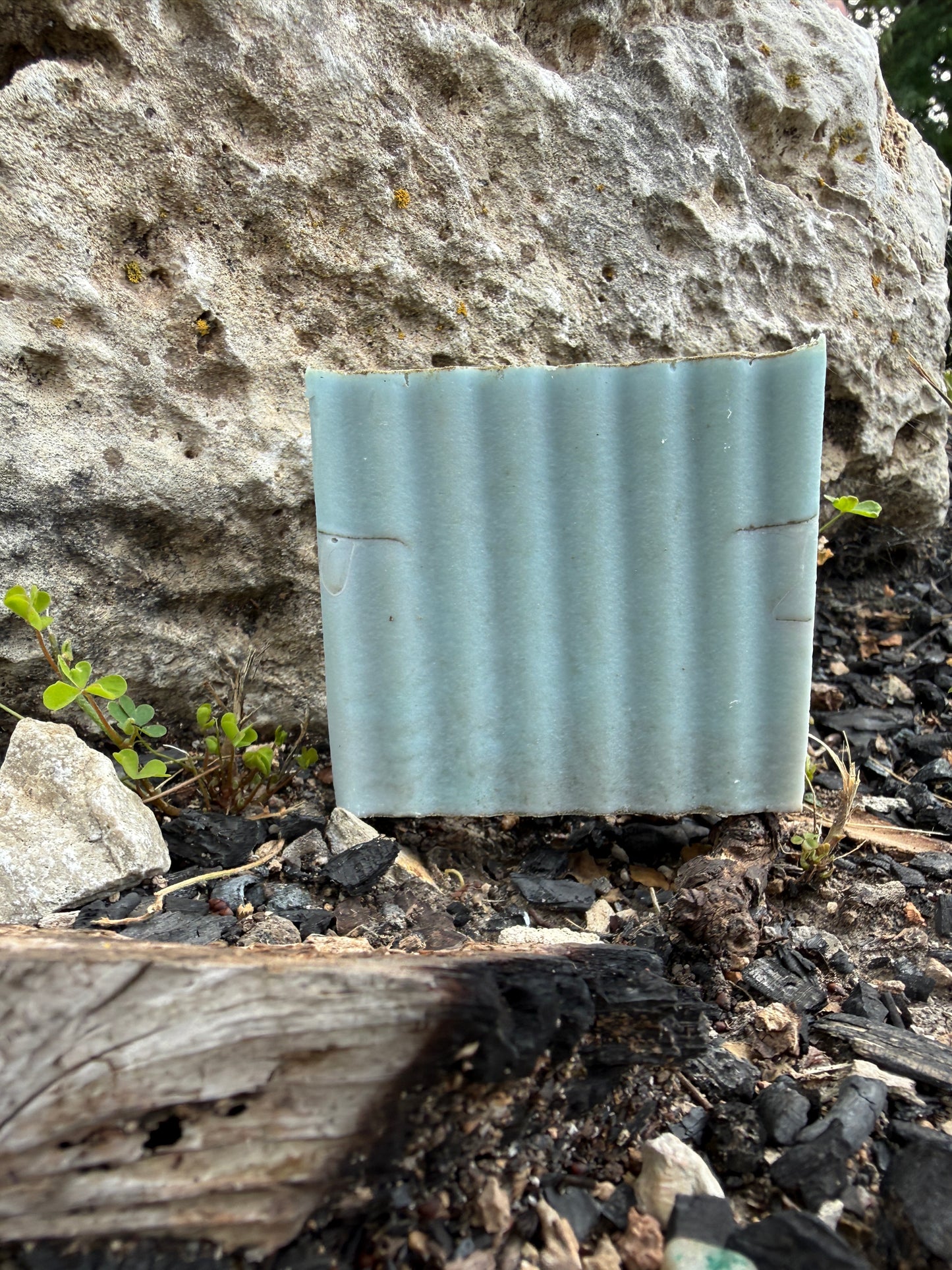 Dead Sea Clay with Teakwood and Pumpkin Seed Oil