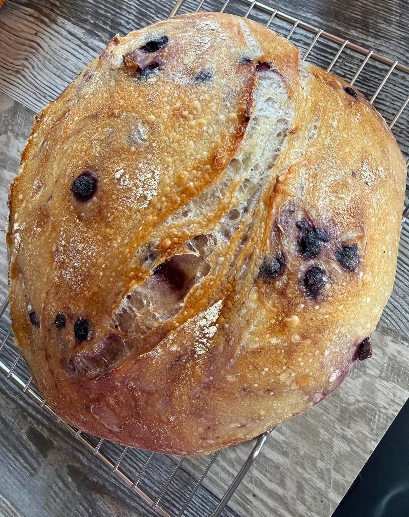 Homestead Fresh Sourdough Shop