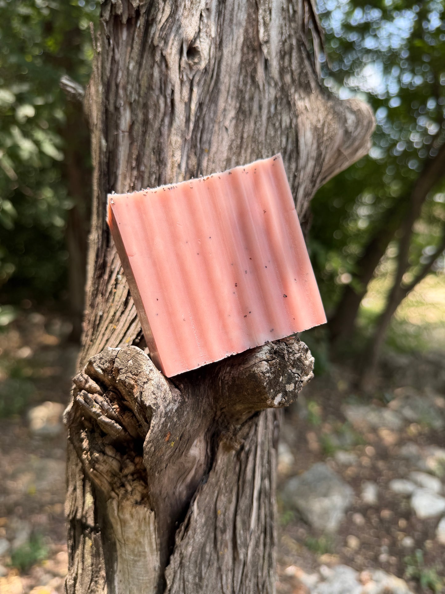Hibiscus & Dragonfruit Goats Milk Exfoliating Soap Bar
