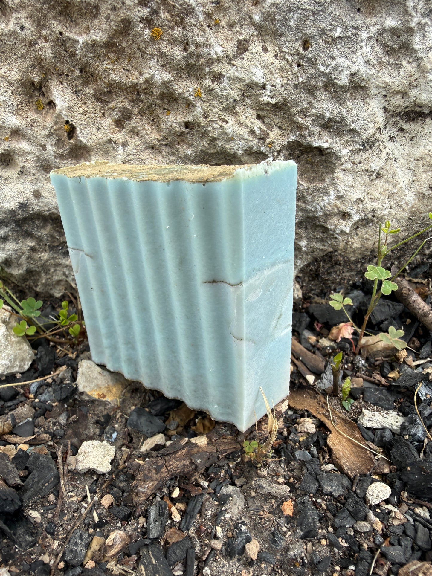 Dead Sea Clay with Teakwood and Pumpkin Seed Oil