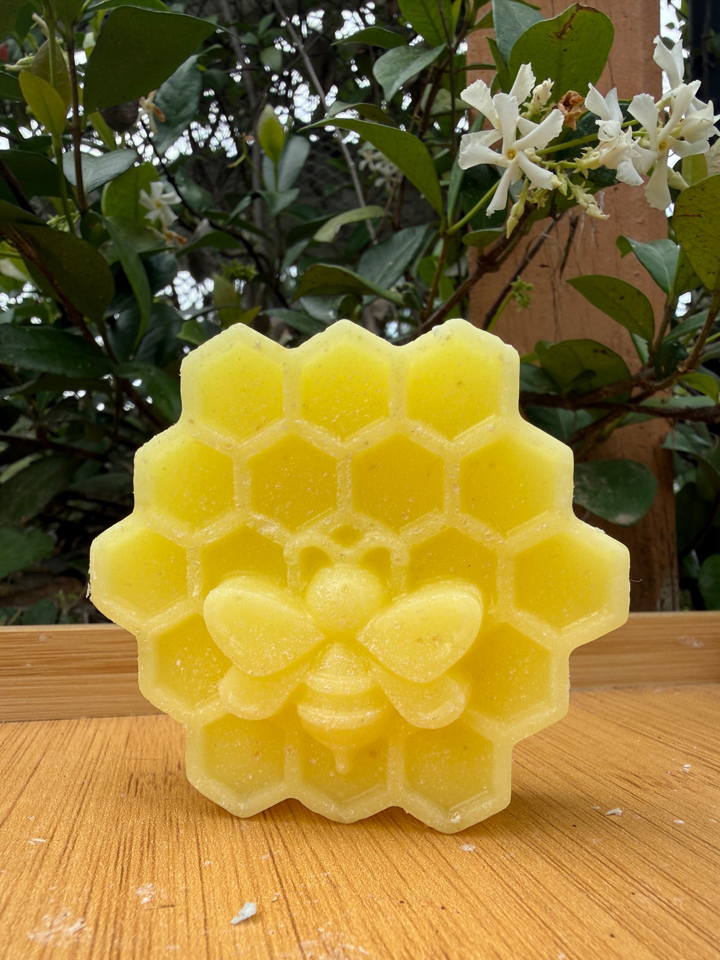 Moss & Honey Conditioner Bar