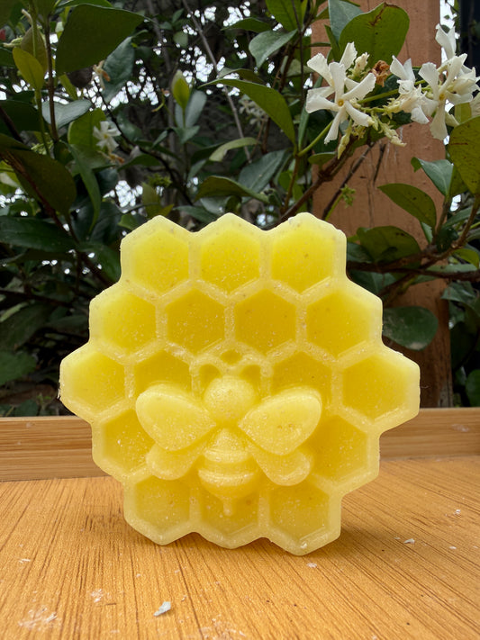 Moss & Honey Conditioner Bar