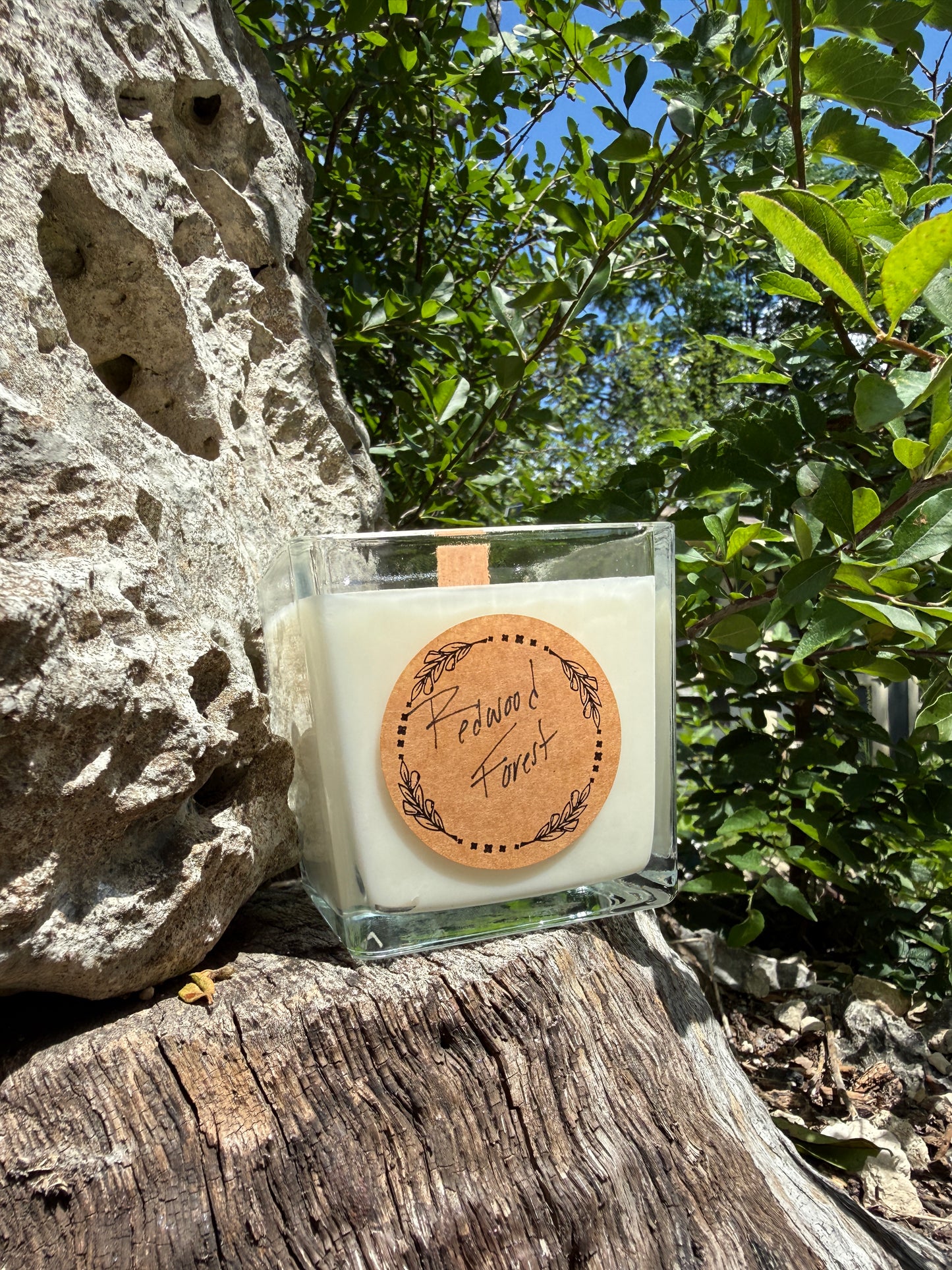 Redwood Forest Coconut & Soy Candle