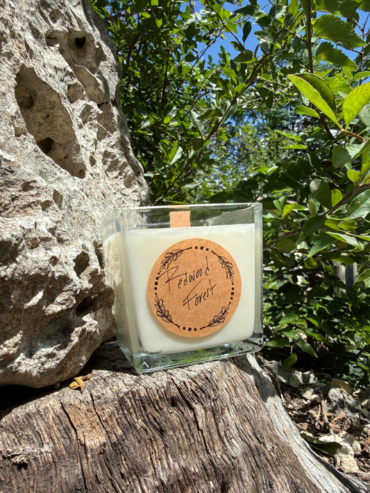 Redwood Forest Coconut & Soy Candle