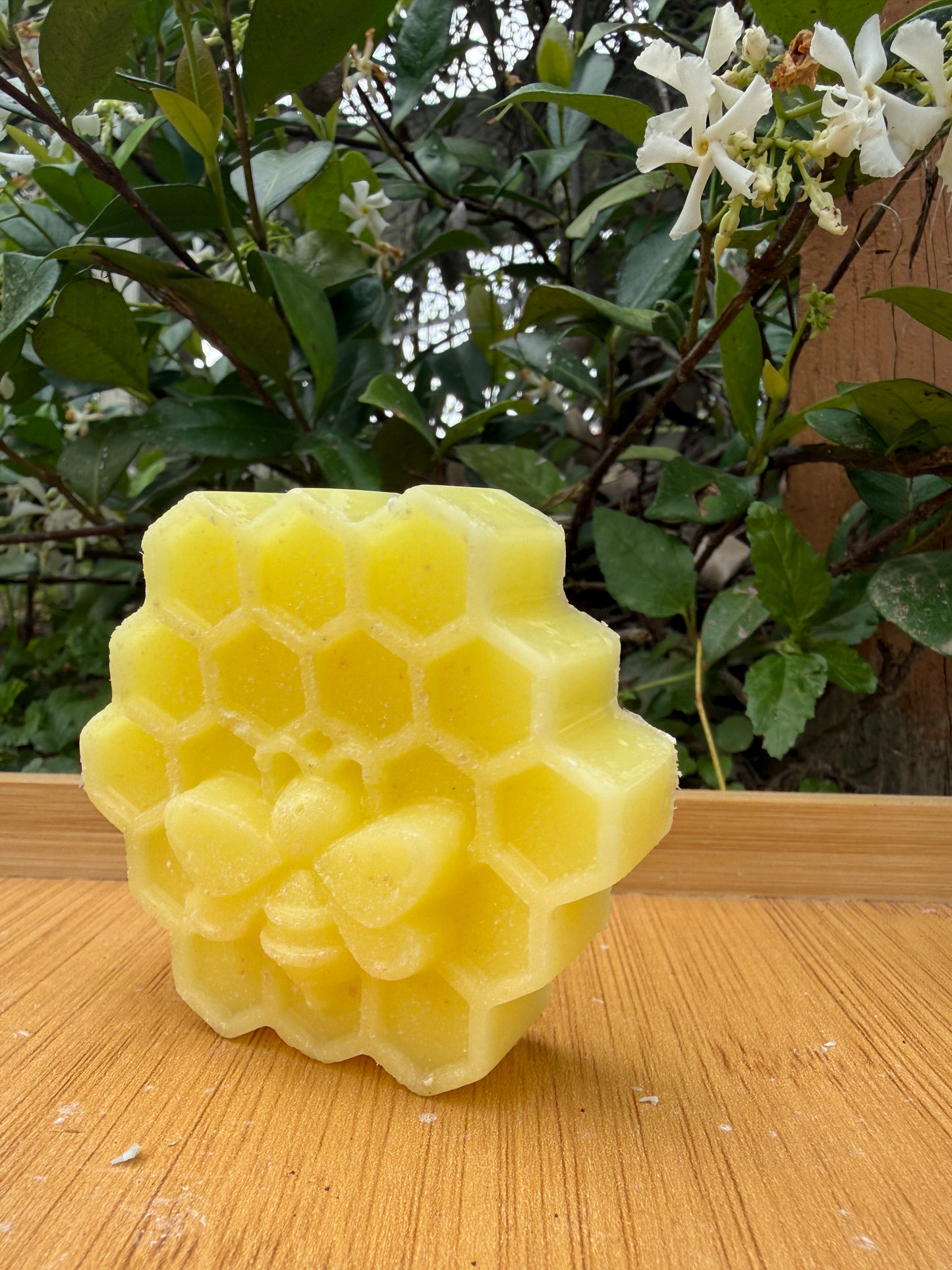 Moss & Honey Conditioner Bar