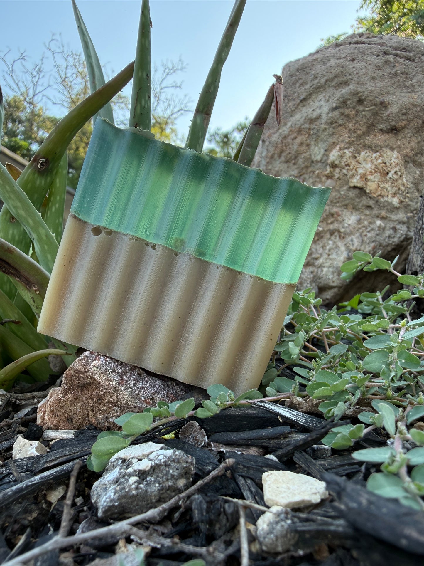 Aloe Vera & Sand