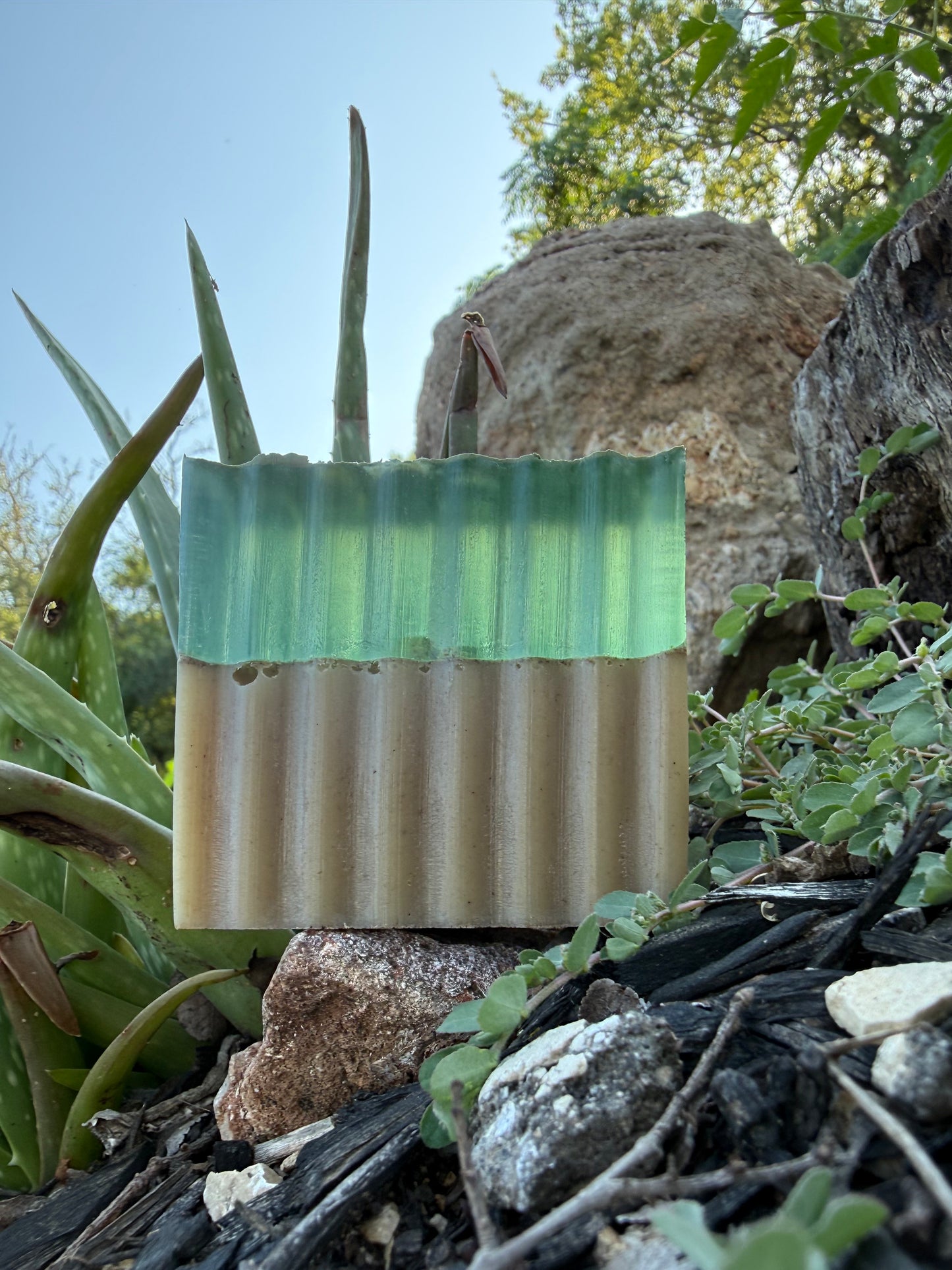 Aloe Vera & Sand
